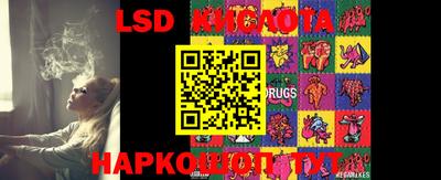 Альфа ПВП Новозыбков
