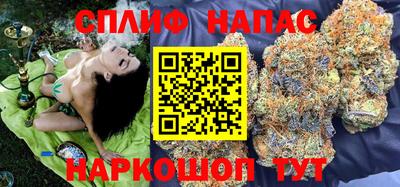 Альфа ПВП Новозыбков