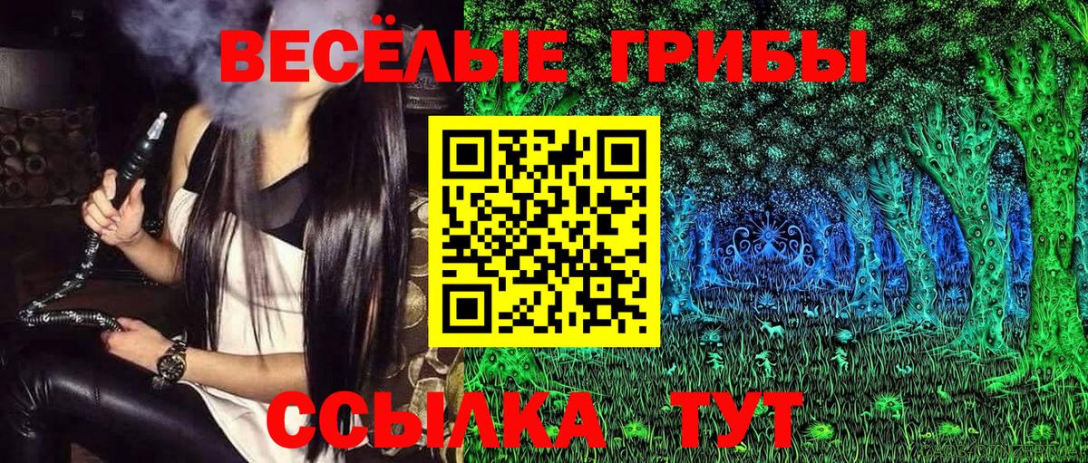 Ставрополь  Псилоцибиновые грибы мицелий  Псилоцибиновые грибы Psilocybe  Вход с VPN 